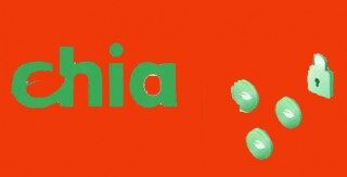 国内可以下载奇亚币吗 mta是什么钱包